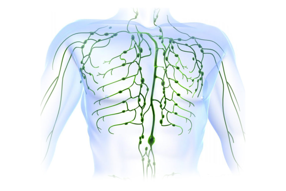 Vascular Disease | Washington Vascular