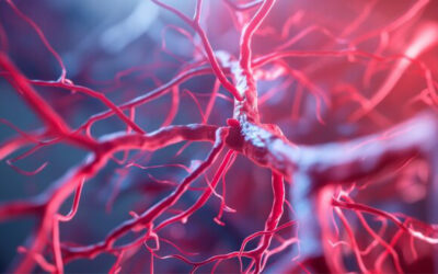 The Connection Between Vascular Health and Wound Healing: Why Healthy Circulation Matters